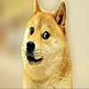 Avatar of vlisperado
