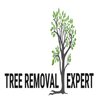 Avatar of Tree Removal Expert