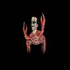 Avatar of Xearzop