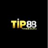 Avatar of Tip88