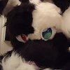 Avatar of RainbowGala