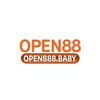 Avatar of open888baby