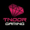 Avatar of TnoorGaming