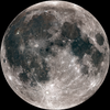 Avatar of t048739