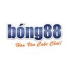 Avatar of nhacaibong88wiki