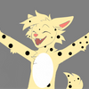 Avatar of PhoenixCheetah