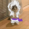 Avatar of arshpage