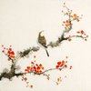 Avatar of bao.artesign
