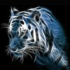 Avatar of GaryG85