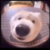 Avatar of Grubsmayo