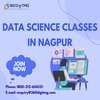 Avatar of Data Science Classes