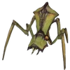 Avatar of bedrok321