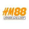 Avatar of hm88gallery