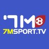 Avatar of 7m