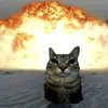 Avatar of yuckrizz