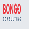 Avatar of Bongo Consulting