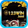 Avatar of 123winbond