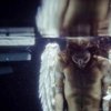 Avatar of Laurent.Pauc