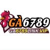 Avatar of ga6789linkvip1