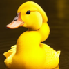 Avatar of battletothedeat
