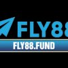 Avatar of fly88fund