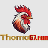 Avatar of THOMO67