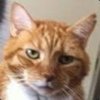 Avatar of Fiery123