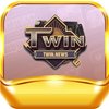 Avatar of TWIN - twin.news