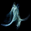 Avatar of Chrystal