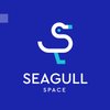 Avatar of SeagullSpace