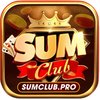 Avatar of Cổng game SUMCLUB
