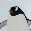Avatar of PenguinTheGeno
