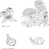 Avatar of erbu