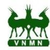 Avatar of VNMN