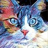 Avatar of Julien.Nowak