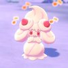 Avatar of ExpyMidnight