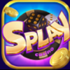 Avatar of Splay Casino ️