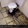 Avatar of Probuoldrr