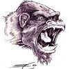 Avatar of El7ias