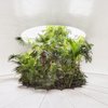 Avatar of marcel_marcel
