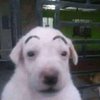 Avatar of BigFar