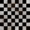 Avatar of josiesandbellascousin