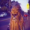 Avatar of wookiean8