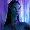 Avatar of syyanide3D
