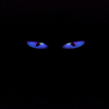 Avatar of AhnAhn832012