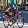 Avatar of electric tricycle