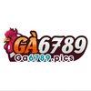 Avatar of Ga6789