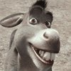 Avatar of isfet