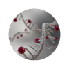 Avatar of Imi Ridley