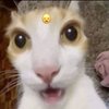 Avatar of huathanhne149